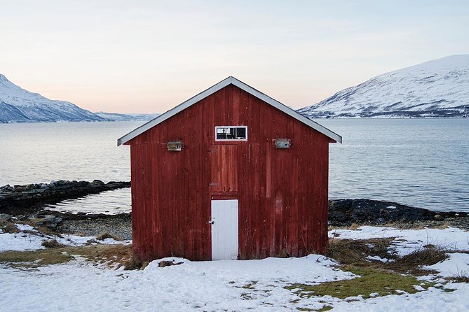 Small-Group Arctic Sightseeing Tour With Citizen Science From Tromso - Inclusions
