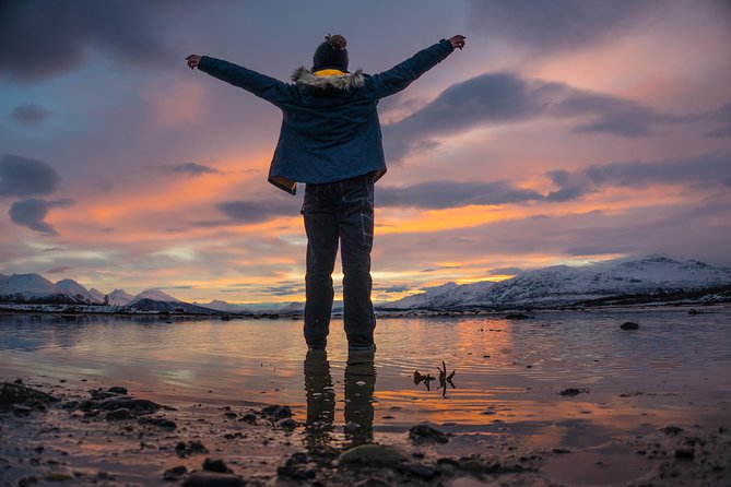 Small-Group Arctic Sightseeing Tour With Citizen Science From Tromso - Tour Logistics