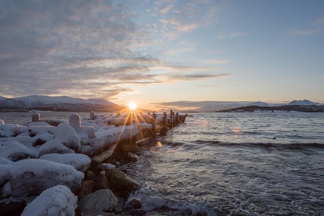 Small-Group Arctic Sightseeing Tour With Citizen Science From Tromso - Accessibility and Mobility