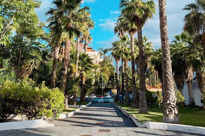 Small-Group ATV Tour in Southern Tenerife 2025 - What to Expect During the Tour