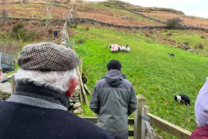 Small Group Aughnanure Castle, Sheepdog Demo & Connemara Tour - Meeting Details