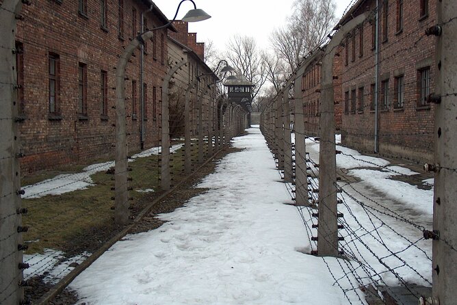 Small Group Auschwitz & Birkenau Guided Tour From Warsaw ABTA - Visitor Information