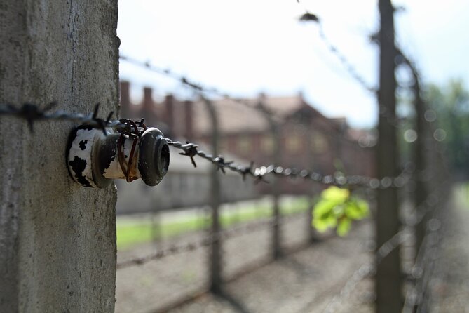 Small Group Auschwitz & Birkenau Guided Tour From Warsaw ABTA - Exploring the Remnants