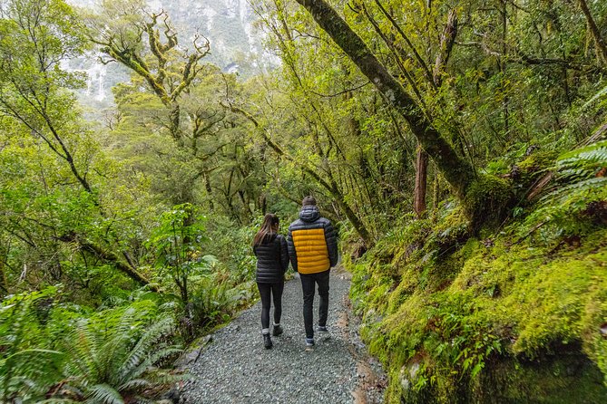 Small Group, Award Winning Full Day Milford Sound Experience - Transportation and Group Size