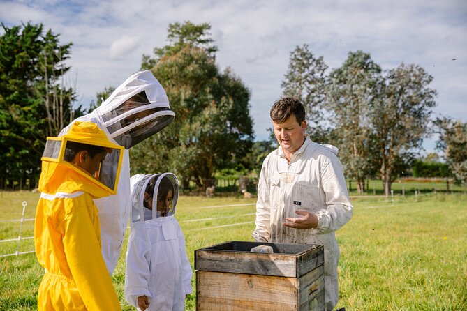 Small-Group Beekeeping Experience in Tauherenikau - About the Beekeeping Experience