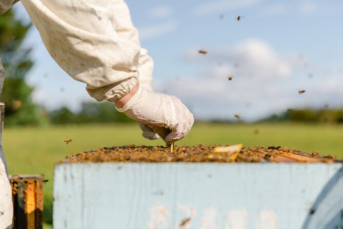 Small-Group Beekeeping Experience in Tauherenikau - What to Expect