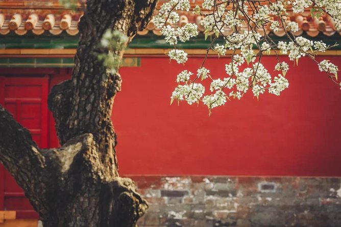 Small Group Beijing Layover Tour to Mutianyu Great Wall and Forbidden City - Tour Overview