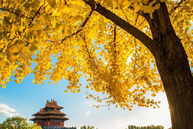Small Group Beijing Layover Tour to Mutianyu Great Wall and Forbidden City - Meeting and Pickup Details
