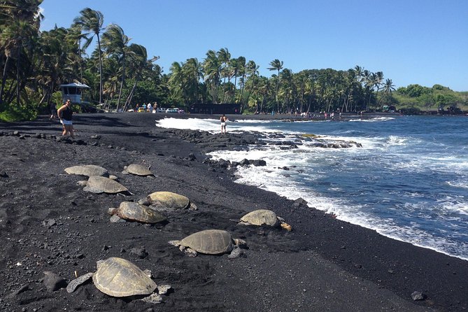 Small-Group Big Island Tour: Hawaii Volcanoes National Park and Kona Coffee Farm - Hawaii Volcanoes National Park