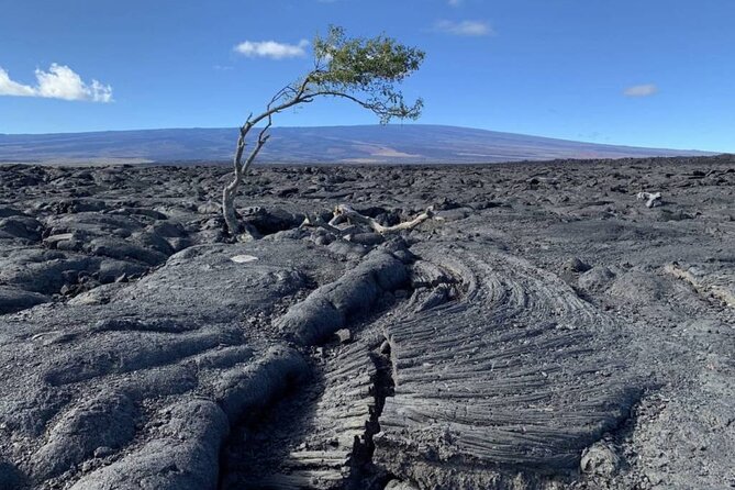 Small Group Big Island Waterfalls Adventure - Booking and Cancellation Policy