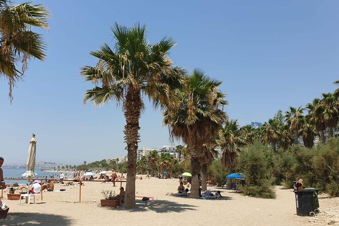 Small-Group Bike Tour of Athens and Riviera - Health and Participation Requirements
