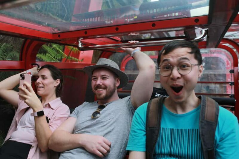 Small Group Blue Mountains, Wildlife & Scenic World Day Tour - Final Words