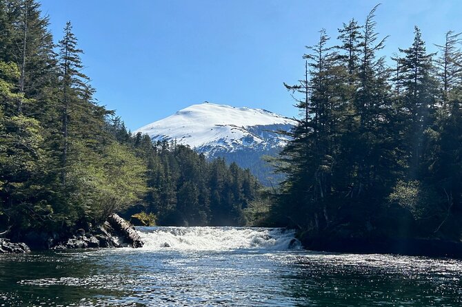 Small Group Boat Tour of Sitka - Memorable Wildlife Encounters