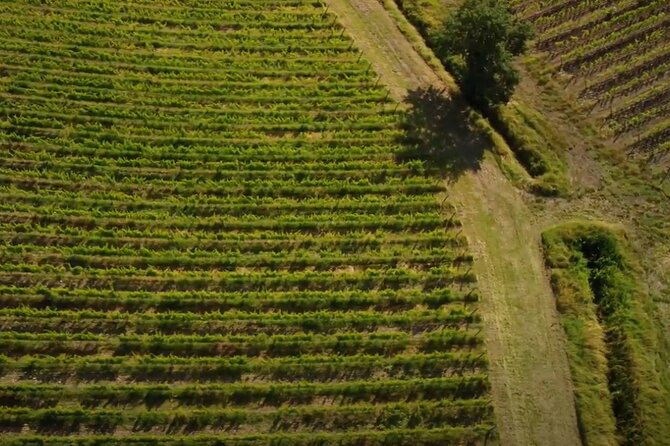 Small Group Brunello Di Montalcino Wine Tour From Siena - Meeting and Pickup