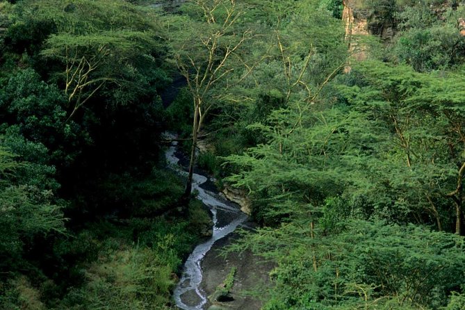 Small Group Budget Tour to Hells Gate National Park and Lake Naivasha Boat Ride - Boat Ride on Lake Naivasha