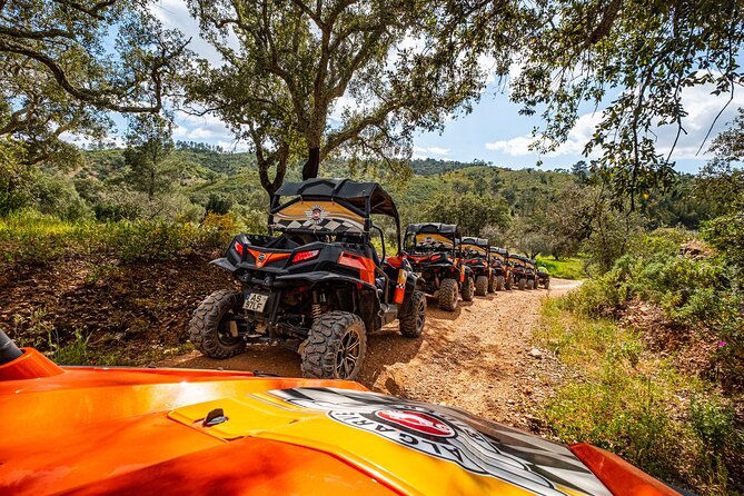 Small-Group Buggy Riding Safari in Algarve - Accessibility Considerations