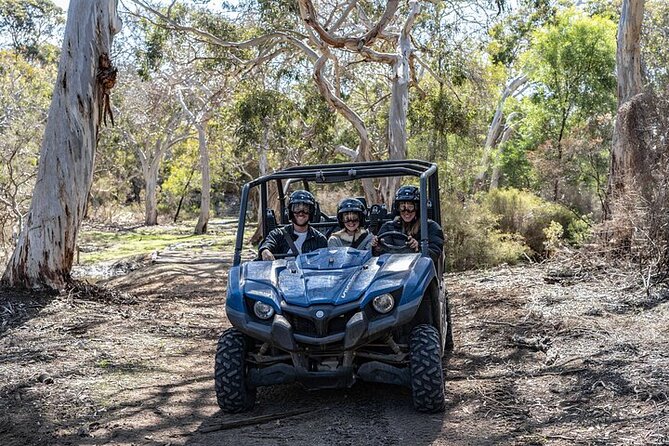 Small-Group Buggy Tour at Little Sahara With Guide - Exploring the Dunes