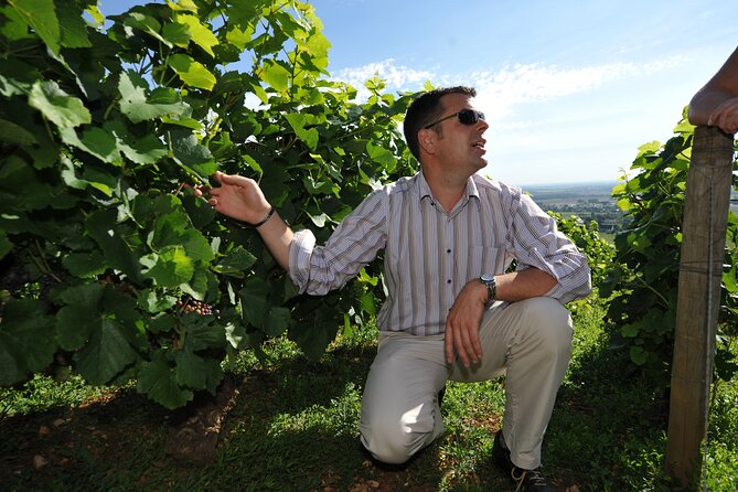 Small Group Burgundy Tour of Beaune With Wine Tasting From Dijon - Discovering Beaune