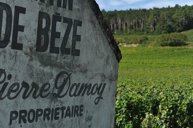 Small Group Burgundy Tour of Beaune With Wine Tasting From Dijon - Exploring the Region