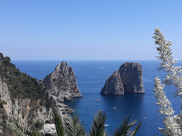Small Group: Capri & Anacapri - Guided Tour - Reviews and Feedback