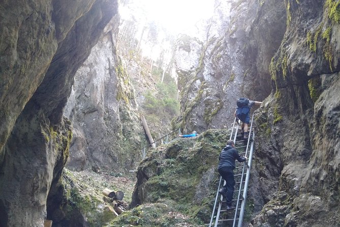 Small-Group Castle, Canyon and Sparkling Wine Day Trip From Brasov - Health and Safety Measures
