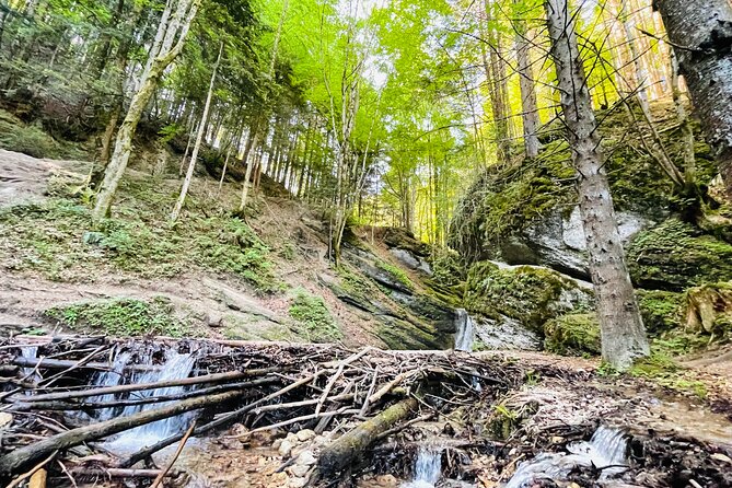 Small-Group Castle, Canyon and Sparkling Wine Day Trip From Brasov - Discovering Peleș Castle