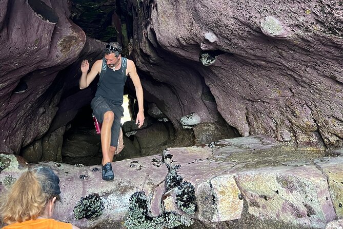 Small Group Cave Tour Adventure From Sunset Cliffs - Tour Highlights