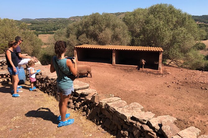 Small Group Cheese Making and Tasting From the Island of Baleares - Meeting and Pickup Details