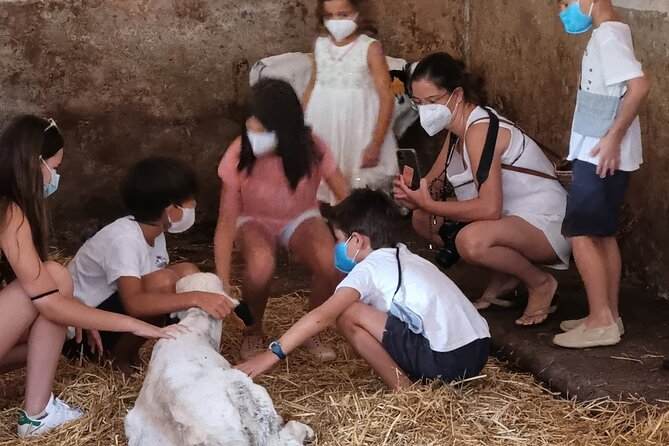 Small Group Cheese Making and Tasting From the Island of Baleares - Participant Reviews