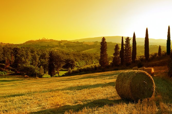 Small-Group Chianti and San Gimignano Sunset Trip From Siena - Chianti Wine Tasting
