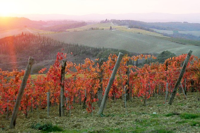 Small-Group Chianti and San Gimignano Sunset Trip From Siena - Tuscan Farmhouse Dinner