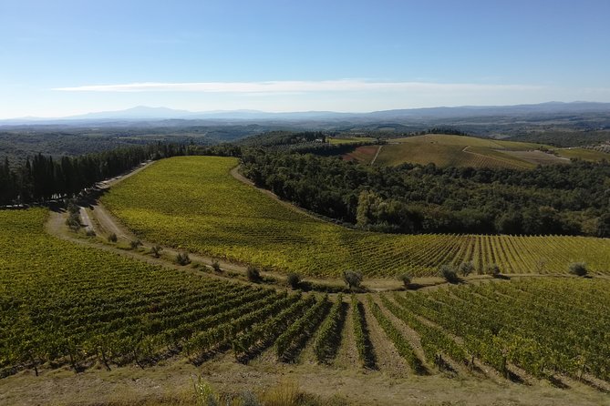 Small-Group Chianti Trip With Wine Tasting From Siena - Castello Di Ama