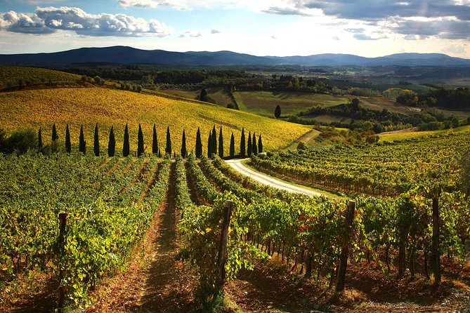Small-Group Chianti Trip With Wine Tasting From Siena - Chianti Classico Wine Tasting