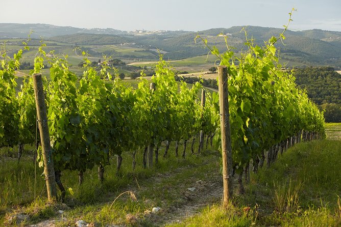 Small-Group Chianti Trip With Wine Tasting From Siena - Additional Information