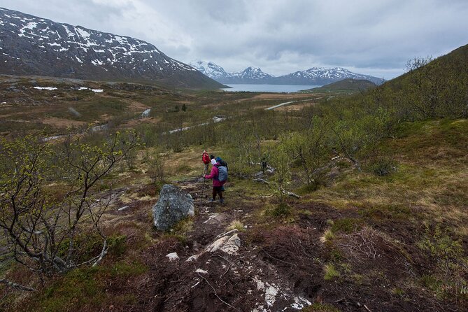 Small Group Citizen Science Hike in Tromso - About Your Stay