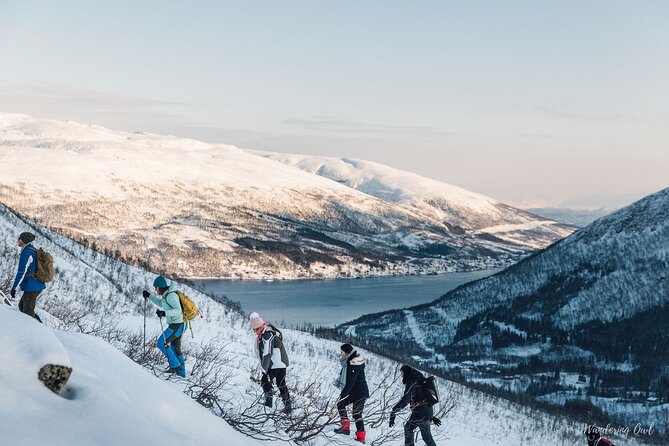 Small Group Citizen Science Hike in Tromso - Activity Duration and Start Time