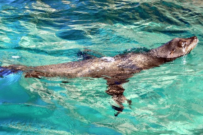 Small Group City Tour Los Cabos With Lunch Tequila and Candy - Lunch at a Mexican Restaurant