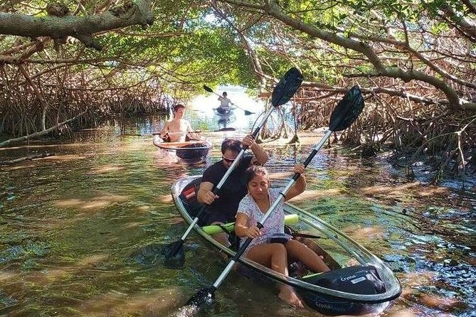 Small-Group Clear Kayak Tour in Shell Key - Kayak Tour Features