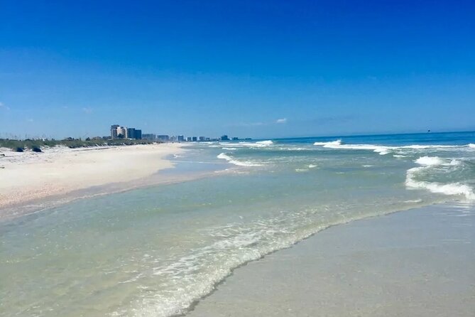 Small Group Clearwater Beach&Dolphin Watch Day Tour From Orlando - Tour Overview