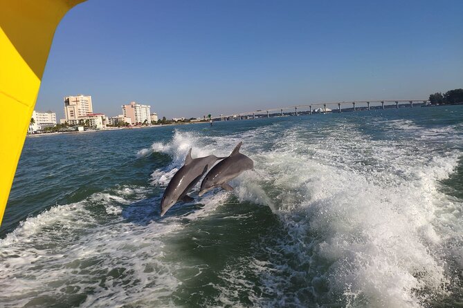 Small Group Clearwater Beach&Dolphin Watch Day Tour From Orlando - Customer Feedback and Service Quality