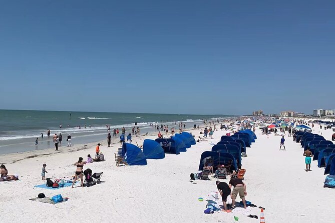 Small Group Clearwater Beach&Dolphin Watch Day Tour From Orlando - Getting to the Tour