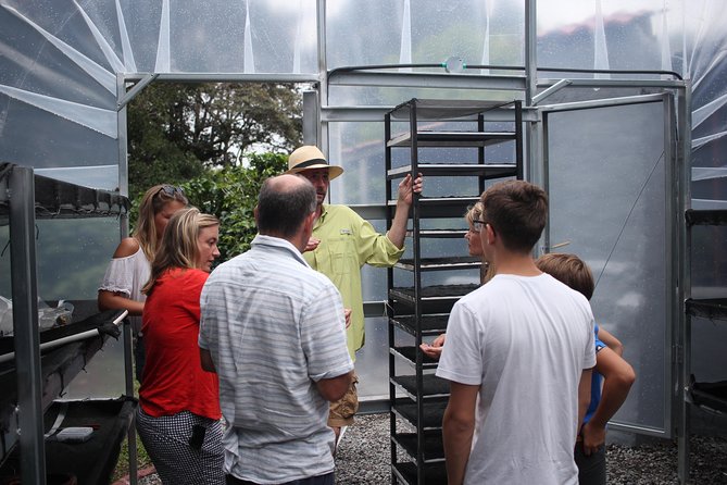 Small Group Coffee Tour (Minimum 2 People) - Guide and Service