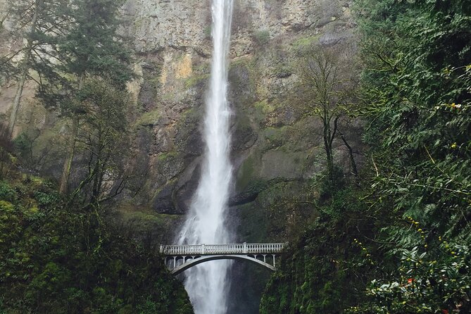 Small Group: Columbia River Gorge Waterfalls Tour From Portland - Customer Reviews and Feedback