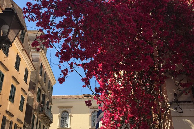 Small-group Corfu Town Historical Walking Tour - Insights Into Local Culture and History