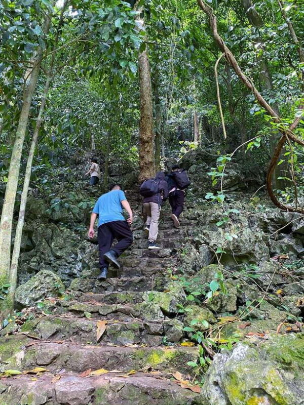 Small Group: Cucphuong National Park 1 Day Pick up Ninh Binh - Inclusions