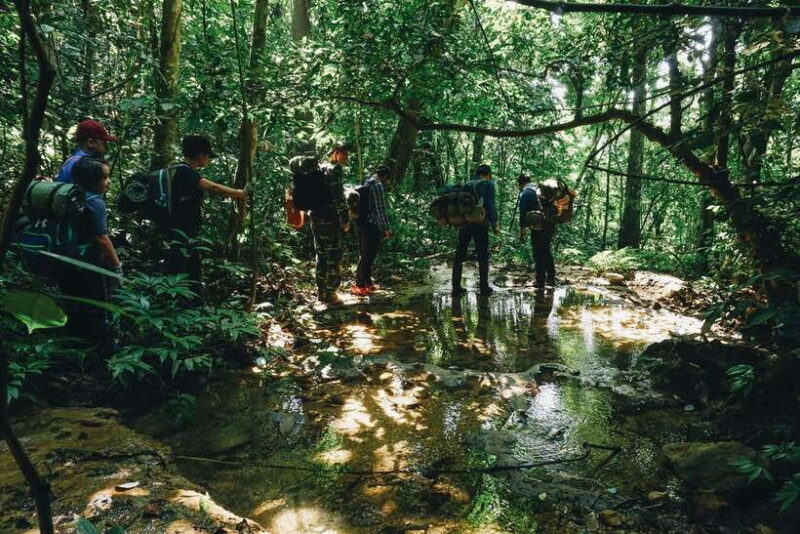 Small Group: Cucphuong National Park 1 Day Pick up Ninh Binh - Exclusions