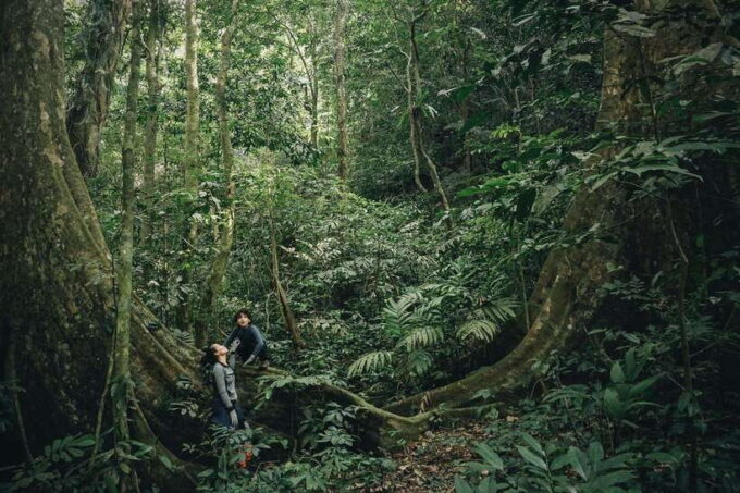 Small Group: Cucphuong National Park 1 Day Pick up Ninh Binh - What to Bring