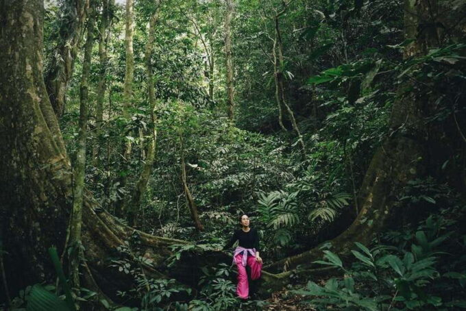 Small Group: Cucphuong National Park 1 Day Pick up Ninh Binh - Since You Asked