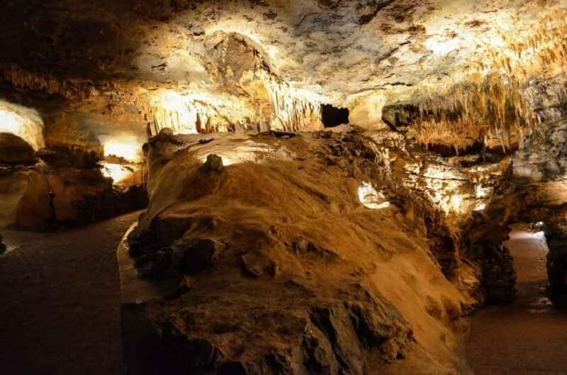 Small-Group D.C. Day Trip to Shenandoah Park & Luray Cavern - Transportation and Group Size