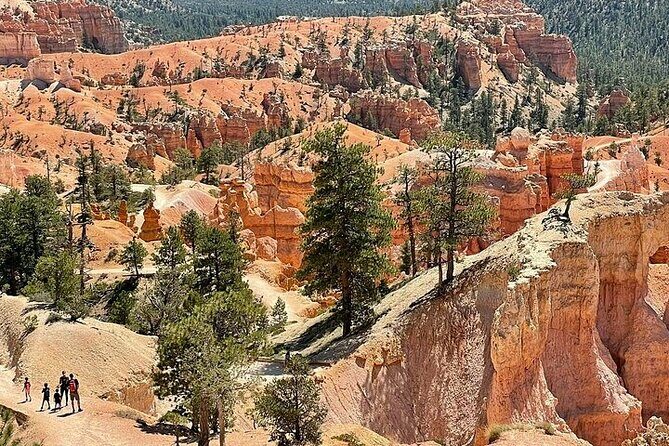 Small Group Day Tour To Explore Bryce Canyon & Zion National Park - Who Will Love This Tour?